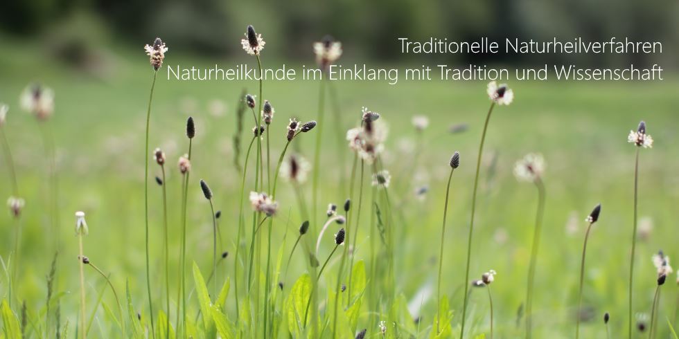 Traditionelle Naturheilverfahren - Naturheilkunde im Einklang mit Tradition und Wissenschaft